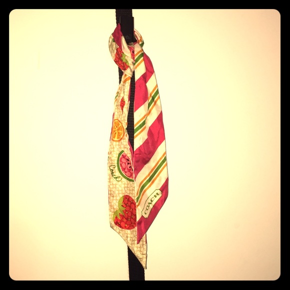Coach Purse Scarf