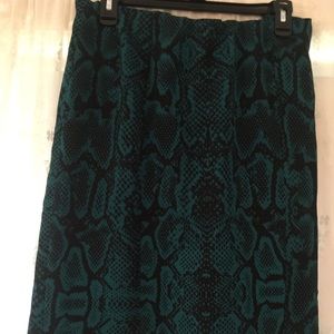 Lane Bryant skirt