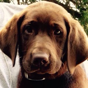 Meet your Posher, Julie