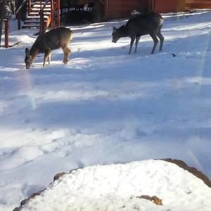 Meet your Posher, Connie