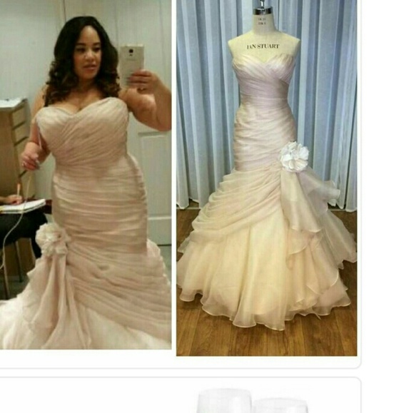 Bewitched Blush Gown - Picture 2 of 2