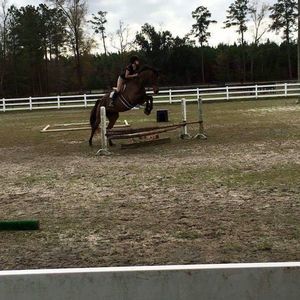 Meet your Posher, Virginia