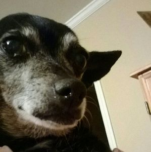 Meet your Posher, Adrienne