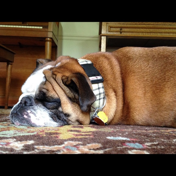 Hey Guys! - Picture 2 of 4