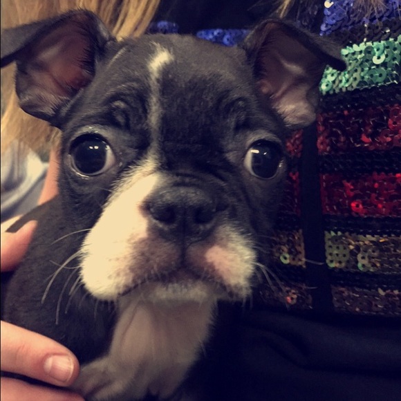 Hey Guys! - Picture 3 of 4