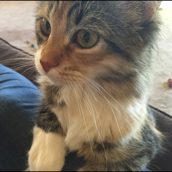 Hey Guys! - Picture 4 of 4