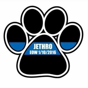 Meet your Posher, Carol