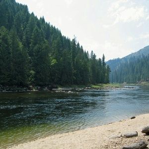 Meet your Posher, Lexi