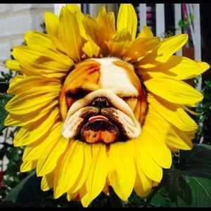 Meet your Posher, Kady