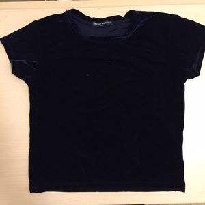 Brandy Melville Blue Velvet Cropped Tee