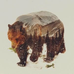 Meet your Posher, Aldo