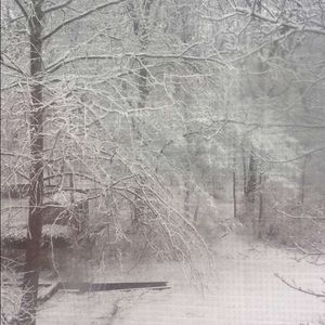 Meet your Posher, Faith