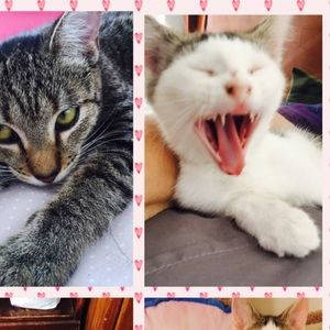 Meet your Posher, Corey