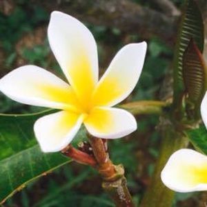 Meet your Posher, Joanne