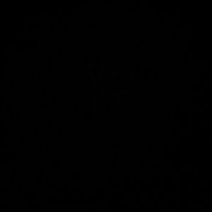 Meet your Posher, Nesha