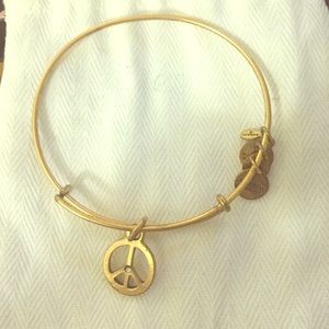 Alex and Ani bracelet