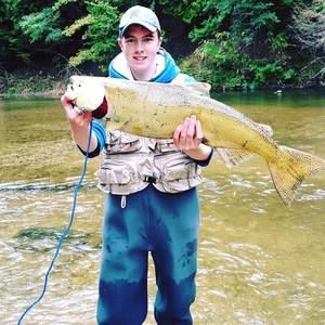 Meet your Posher, Bailey