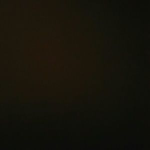 Meet your Posher, Elsa