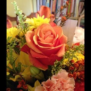 Meet your Posher, Annice