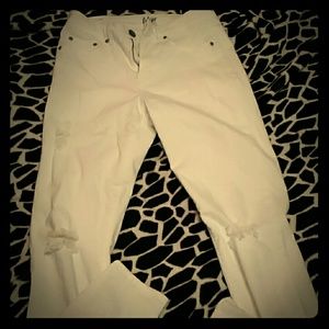 Brand new Aero jeans