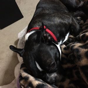 Meet your Posher, Beth