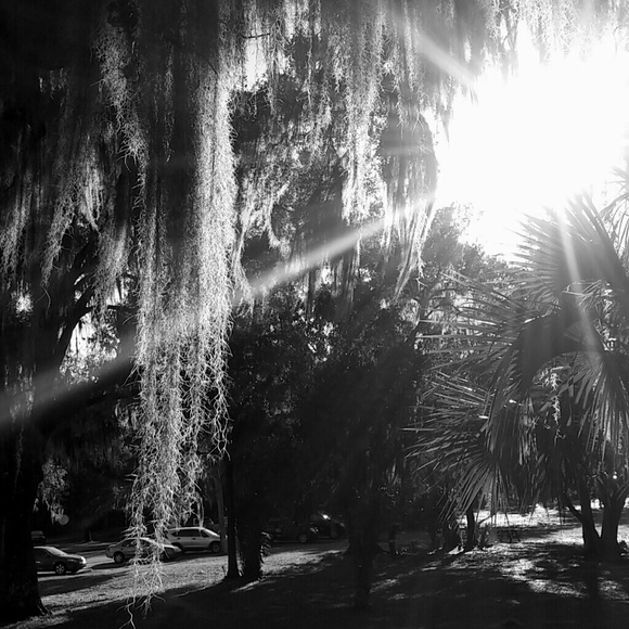 Meet your Posher, Brit