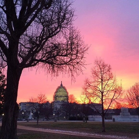 Closet closing! Everything BOGO FREE!! - Picture 3 of 4