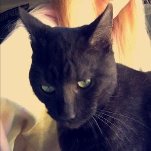 Meet your Posher, Misty