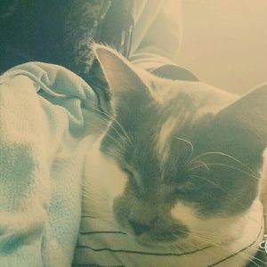 Meet your Posher, Aamna