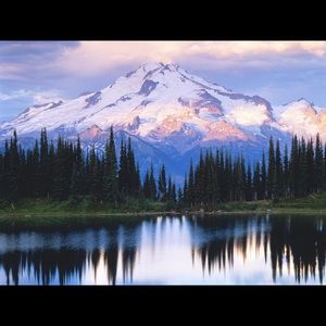 Meet your Posher, Shelby