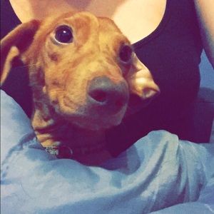 Meet your Posher, Amanda