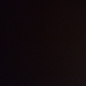 Meet your Posher, Frieda