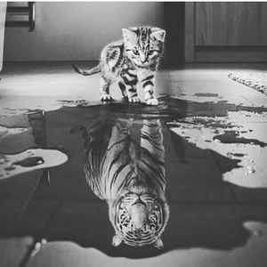 Meet your Posher, Ebony