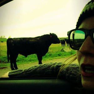 Meet your Posher, Caroline