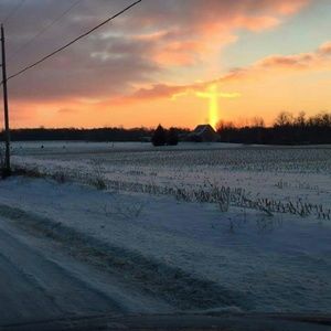 Meet your Posher, Misty