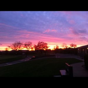 Meet your Posher, Bonnie