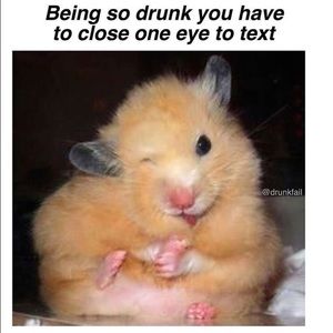 Meet your Posher, Scott