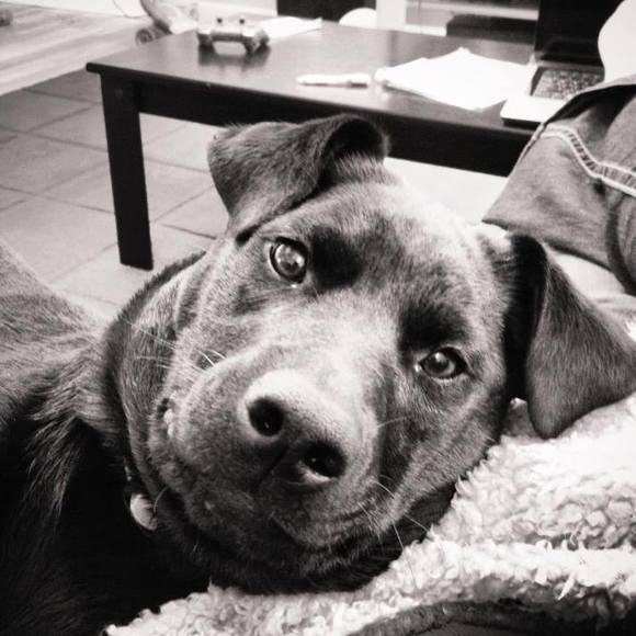 Meet your Posher, Katelin