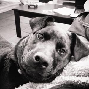 Meet your Posher, Katelin