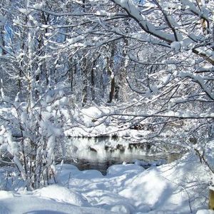 Meet your Posher, Elena