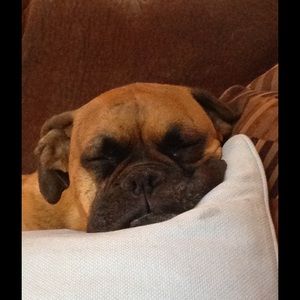 Meet your Posher, Nancy