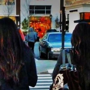 Meet your Posher, Cheyenne