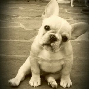 Meet your Posher, Isabell