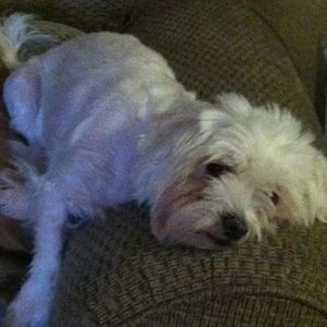 Meet your Posher, Brianna