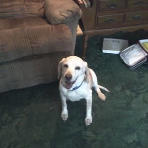 Meet your Posher, Vicki