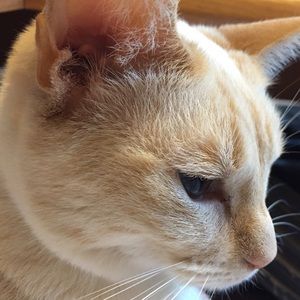 Meet your Posher, Rochelle