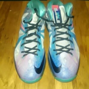 Nike Lebron Pure Platinum 10's