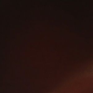 Meet your Posher, Misty