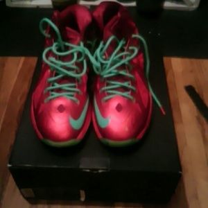 Lebron Christmas10's