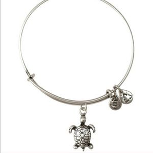 Iso Alex and Ani silver or gold turtle bracelet